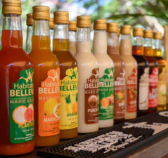 Bellevue rum punches